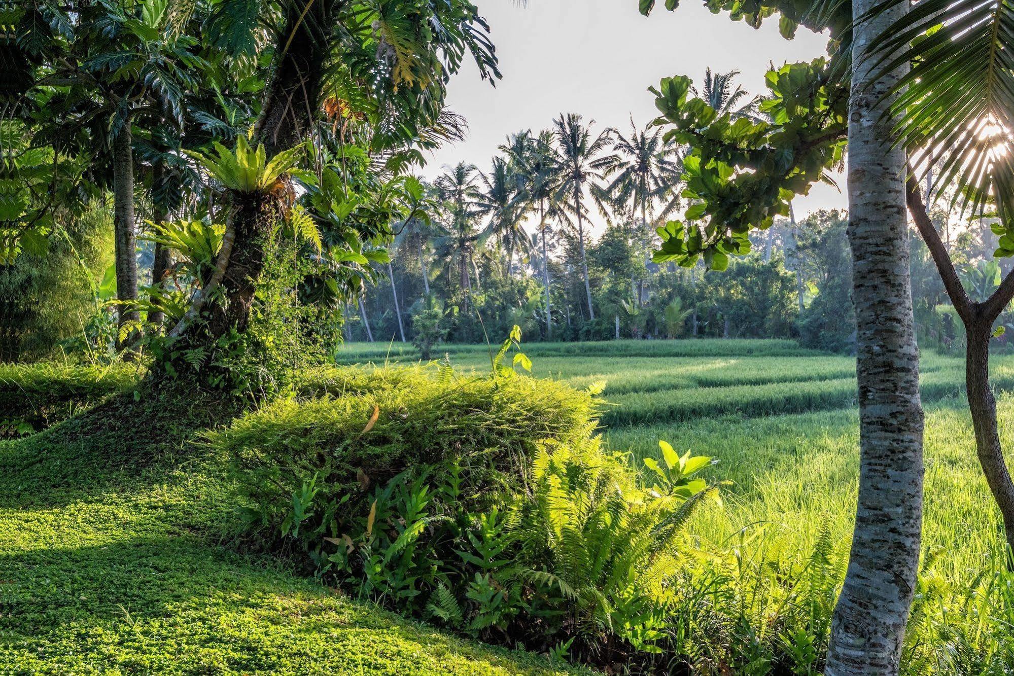 Villa Sabandari Ubud Exterior foto